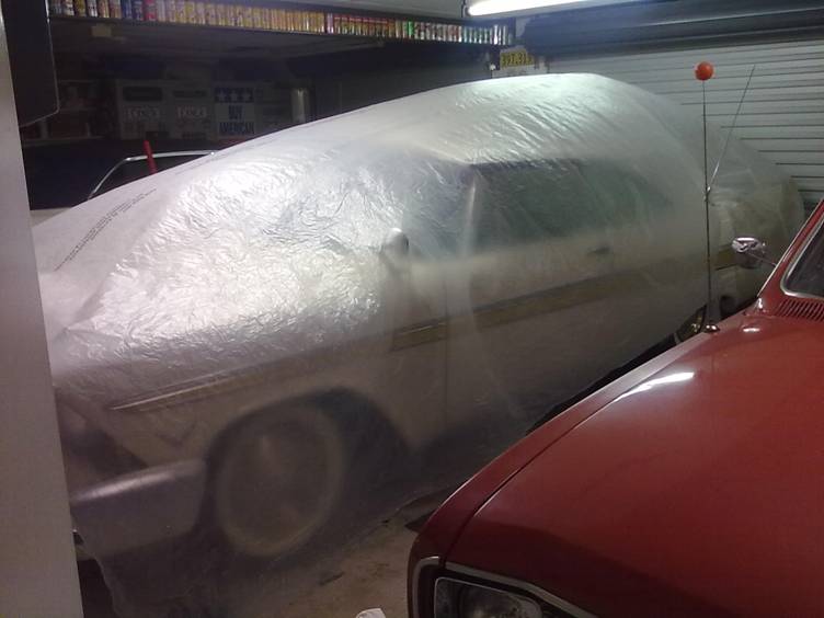 Fury car cover when hot3.jpg